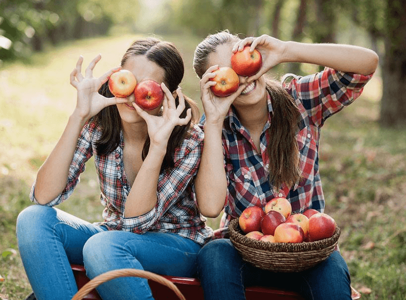 Apple Picking Your Kids Are Going to Love This