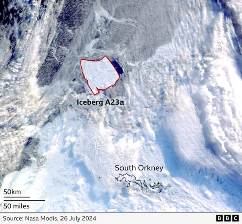 Citra satelit A23a di utara South Orkney