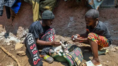 Gerald Anderson / Getty Images Dua pria memberi makan kucing di daerah kumuh di ibu kota Nairobi - Selasa 6 Agustus 2024