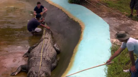 Getty Images Warga Inggris membantu mengukur buaya Lolong di kota Bunawan