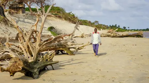 Hutan bakau di sepanjang pantai Kipini