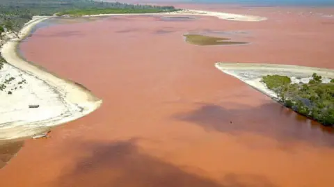 Foto udara pantai Kipini oleh Roberto Macri 