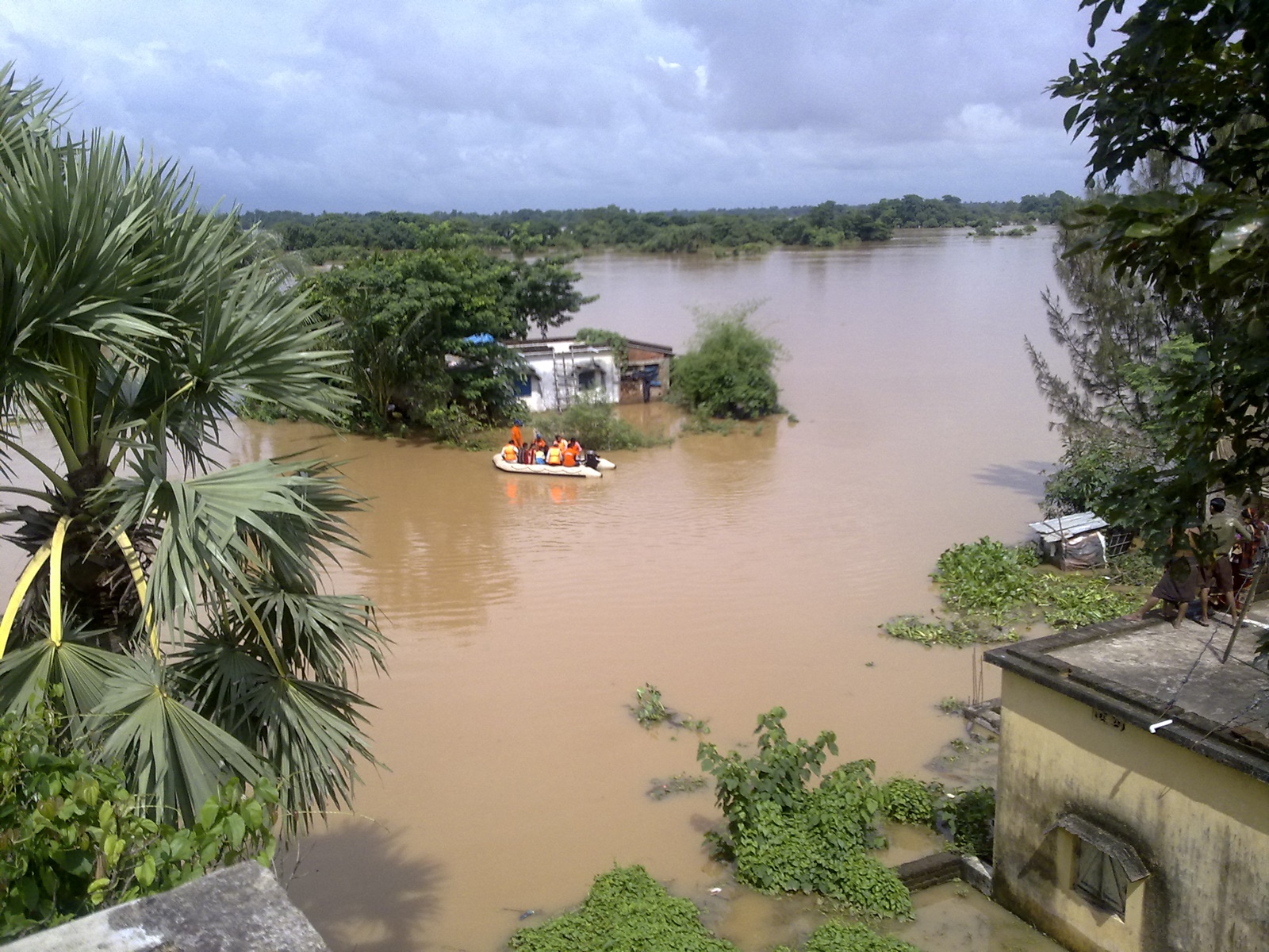 Banjir di Odisha