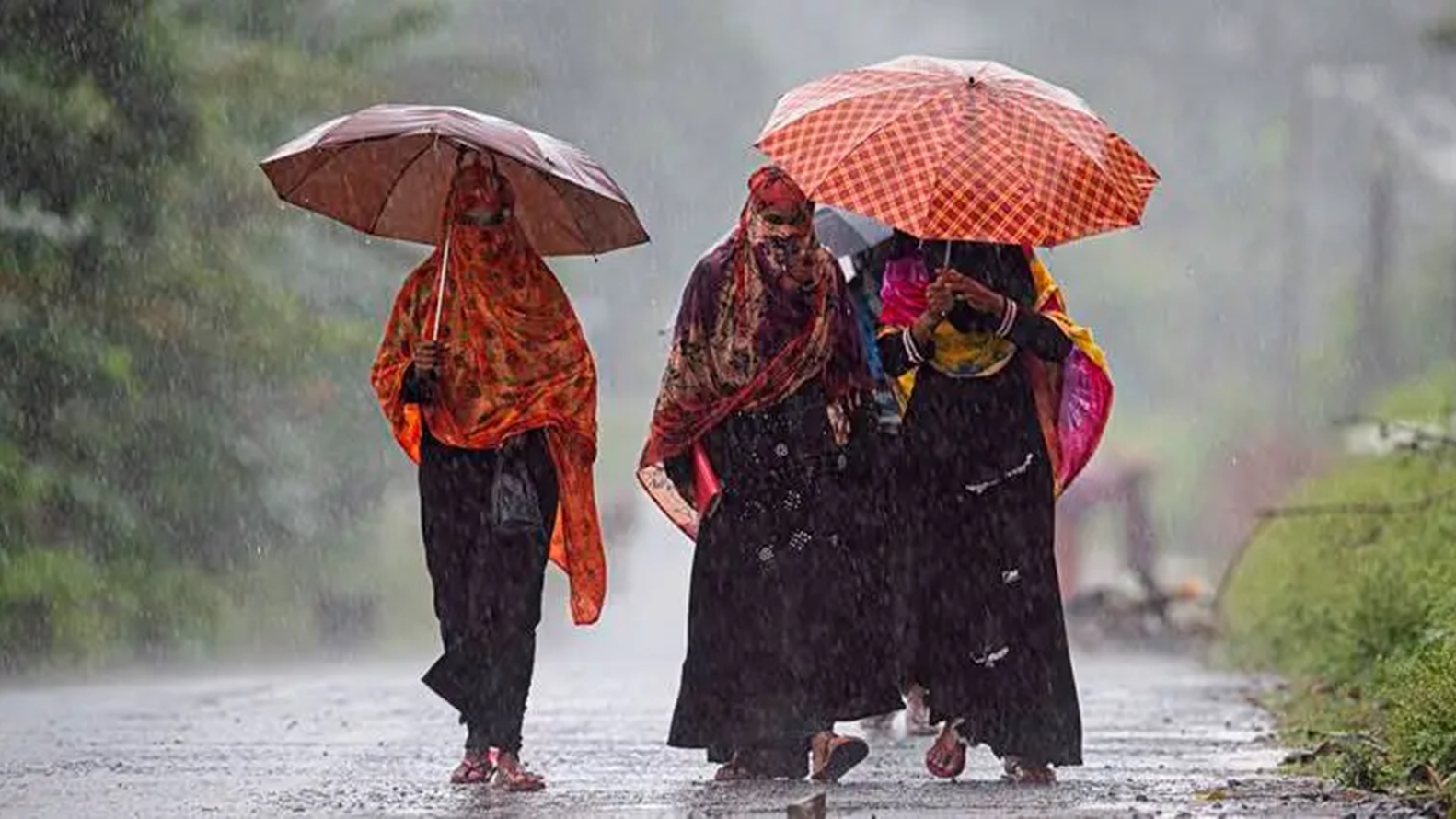 Peringatan Oranye IMD, Hujan Gujarat, Peringatan Oranye Gujarat, Hujan Lebat Gujarat, Departemen Meteorologi India, Prakiraan Cuaca Gujarat, Berita Indian Express