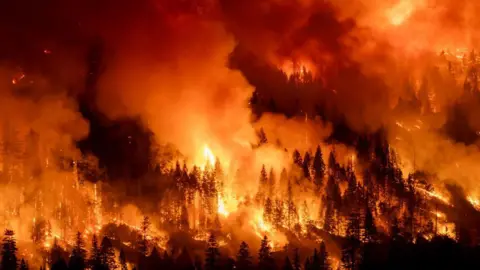 Getty Images Kebakaran Taman berkobar di California Utara pada malam hari saat cahaya oranye menyala menerangi kawasan hutan