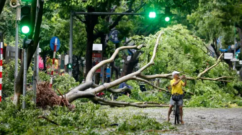 EPA Seorang pria bersepeda dengan latar belakang pohon tumbang di seberang jalan