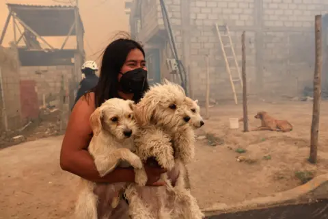 Karen Toro/Reuters Seorang wanita membawa anjing terlihat di tengah asap kebakaran hutan