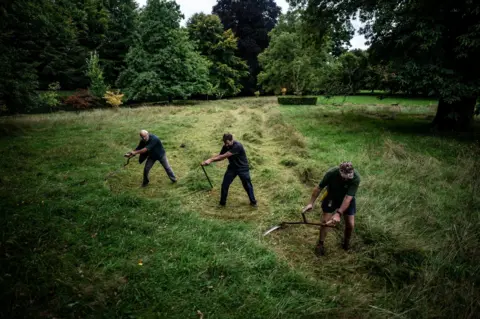 Ben Birchall / PA Media Mowers dan anggota Asosiasi Scythe Inggris dan Irlandia menggunakan sabit untuk memotong padang rumput di Highgrove, Tetbury, Gloucestershire.