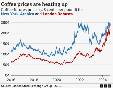 Grafik garis menunjukkan harga kopi berjangka untuk kopi London Robusta dan New York Arabika dari Januari 2016 hingga awal September 2024. Harga keduanya meningkat secara bertahap. Pada tanggal 6 September, harga kopi Robusta London adalah 242 sen per pon, Arabika New York adalah 247 sen per pon.