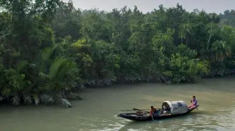 Getty Images Sebuah perahu nelayan dekat dengan hutan bakau