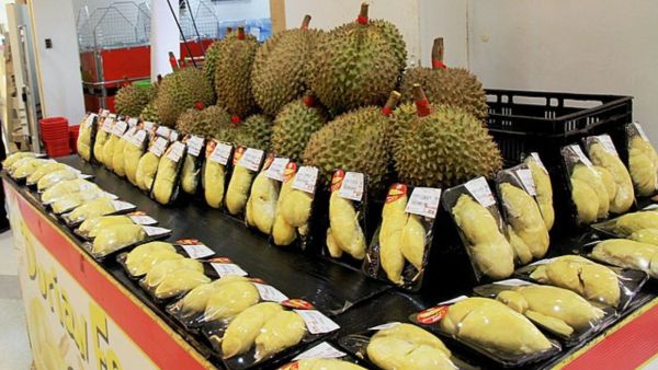 Harga Kopi - Durian 