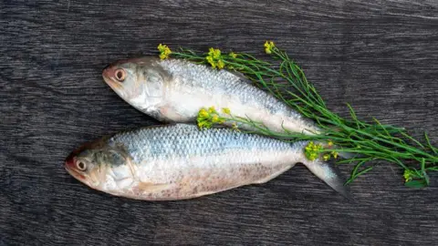 Getty Images Tenulosa Ilisha atau ikan Ilish dengan mustard di papan hitam.