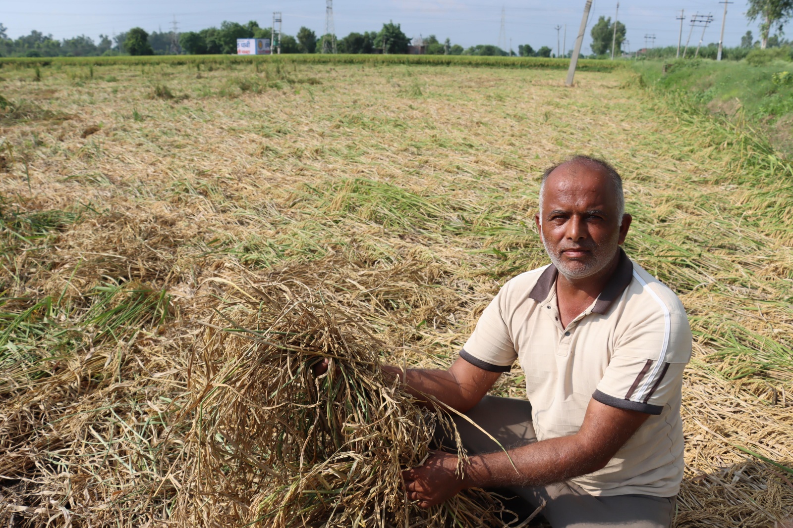 Jai Bhagawan Punia menunjukkan tanaman rusak di dekat Charuni Jattan di Haryana. (Foto Ekspres oleh Jasbir Malhi)