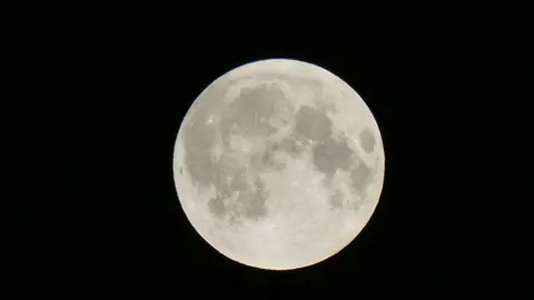 Ahli Meteorologi/Taman Julie Supermoon dilihat dari Birmingham