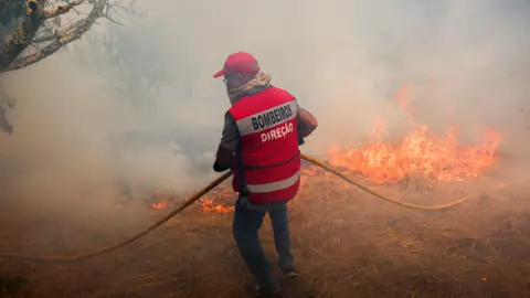 Reuters Petugas pemadam kebakaran berupaya memadamkan api di Penalva do Castelo, Portugal.