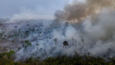 Getty Images Kebakaran di hutan hujan Amazon 