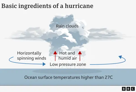 Gambaran material yang umumnya dibutuhkan untuk badai. Diantaranya adalah suhu air permukaan laut yang lebih hangat dari 27C dan angin horizontal.