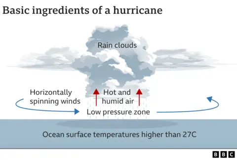 Grafik BBC menggambarkan unsur dasar badai, yang terdiri dari permukaan laut dan massa air dengan suhu di atas 27C (81F), angin melintang, dan zona tekanan rendah tempat udara hangat dan lembab membentuk awan hujan.