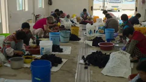 Banyak haenio yang mengupas apel dan menyiapkan makanan laut yang mereka tangkap