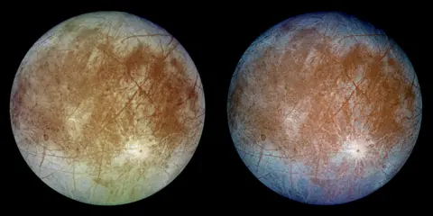 NASA/JPL/DLR Gambar ini menunjukkan dua pemandangan belahan bumi belakang bulan Jupiter yang tertutup es, Europa. Gambar kiri menunjukkan perkiraan tampilan warna alami Europa. Gambar di sebelah kanan adalah versi komposit warna palsu yang menggabungkan gambar ungu, hijau, dan inframerah untuk meningkatkan kontras warna di kerak es Eropa yang didominasi air. Area berwarna coklat tua mewakili material batuan yang berasal dari interior, akibat benturan, atau dari kombinasi sumber internal dan eksternal. Dataran terang (atas dan bawah) di wilayah kutub ditampilkan dalam warna biru, yang mungkin membedakan es berbutir kasar (biru tua) dari es berbutir halus (biru muda). Garis-garis gelap dan panjang tersebut merupakan retakan pada kerak bumi, beberapa di antaranya memiliki panjang lebih dari 3.000 kilometer (1.850 mil). Fitur terang dengan titik gelap di sepertiga bagian bawah gambar adalah kawah tubrukan muda yang berdiameter sekitar 50 kilometer (31 mil). Nama kawahnya untuk sementara 