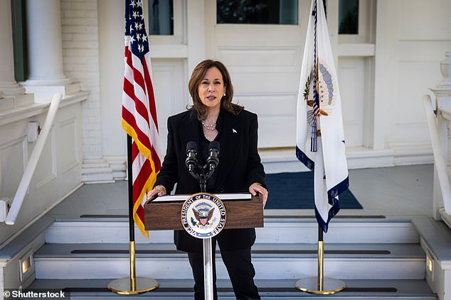 Luntz mengatakan Trump “terdefinisi” karena dia “tidak menang” dan “tidak kalah” dalam pemilu, sementara lawannya “kurang terdefinisi dengan baik.” (foto: Harris berbicara di Naval Observatory pada hari Rabu)