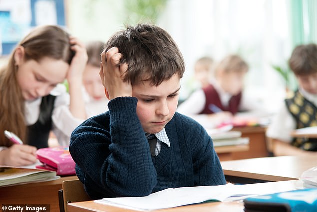 Penunjukan tersebut, yang didistribusikan oleh otoritas setempat, mencakup kurang dari 8.000 dari sekitar 111.000 anak berkebutuhan khusus yang diajar di sekolah swasta (stock image)