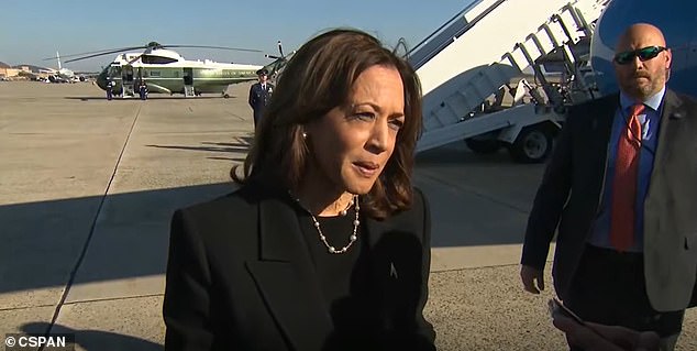 Kamala Harris mengatakan dia 'sangat tidak setuju' dengan kritik pemilih di tengah dampak dari komentar 'sampah' Biden