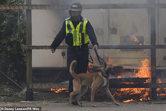 Seorang polisi yang menangani anjing selama demonstrasi sayap kanan di luar Holiday Inn Express di Rotherham