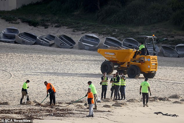 Para pekerja Dewan Randwick digambarkan sedang membersihkan Pantai Coogee di timur Sydney