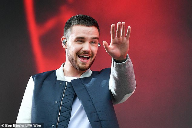 Payne adalah ayah dari putranya Bear, enam tahun, dari hubungannya dengan mantan Cheryl Cole. (foto: Mendiang bintang pop tahun 2018)