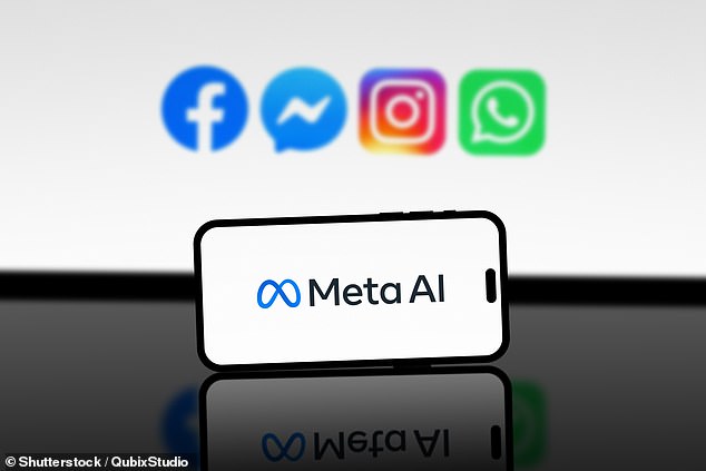 Raksasa teknologi Meta telah memecat sekitar dua lusin karyawan di LA karena menggunakan kredit makanan senilai $25 untuk membeli barang sehari-hari termasuk bantalan jerawat, gelas anggur, dan deterjen (Gambar file)