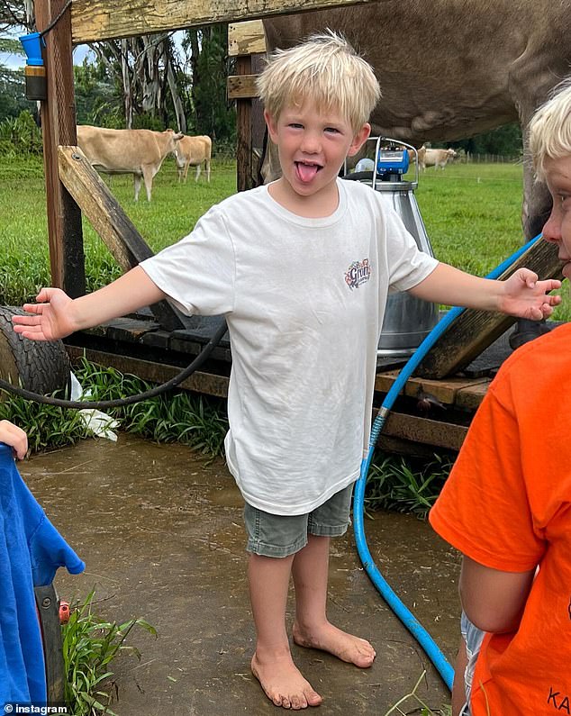 Keponakan peselancar terkenal Andrew Samuel Hamilton, 3, meninggal pada Kamis di Oahu, Hawaii, setelah ditemukan tak sadarkan diri di bak mandi pada 12 Oktober