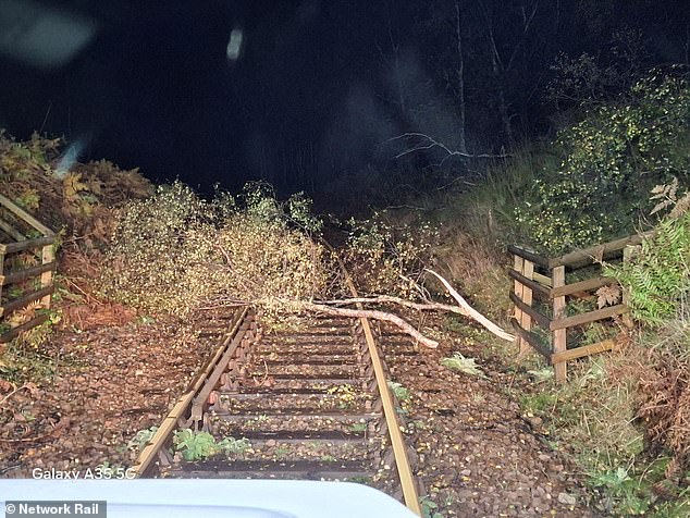 Network Rail Scotland memposting foto cabang pohon tumbang hari ini, mengatakan bahwa tim tanggapnya telah berpatroli di cabang Mallaig dan Oban di West Highland Line semalaman