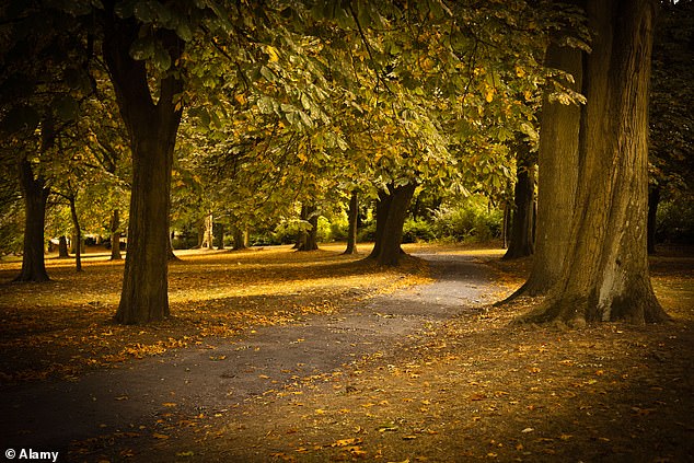 Michael Kelly, 55, yang menderita multiple sclerosis, menuduh Maslen, 53, mengalami patah rongga matanya setelah perdebatan sengit di Regents Park (foto), London