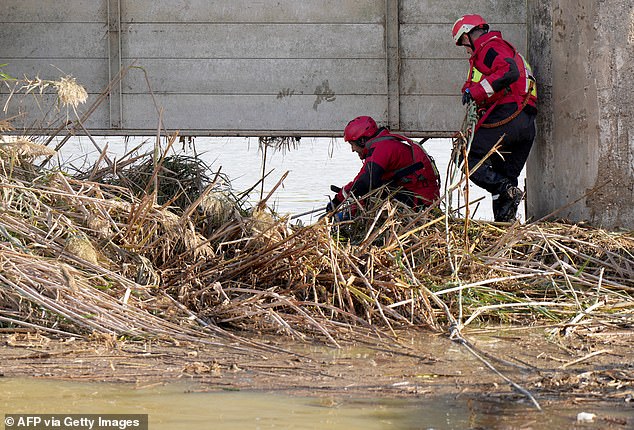 Petugas pemadam kebakaran Valencia mencari korban di kunci di L'Albufera, dekat Valencia, Spanyol timur, pada 7 November 2024