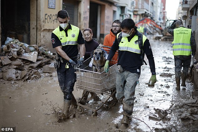 Anggota departemen kepolisian kota Bilbao membantu seorang wanita membawa seekor anjing melewati jalan berlumpur di kota Paiporta yang dilanda banjir, Valencia, Spanyol, 7 November 2024