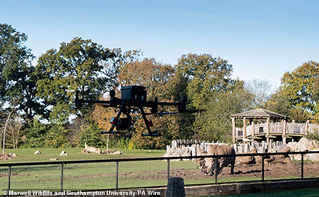 Marwell Wildlife telah bermitra dengan Universitas Southampton untuk mengembangkan kendaraan udara tak berawak (UAV) untuk mengidentifikasi dan menilai hewan tanpa mengganggu mereka