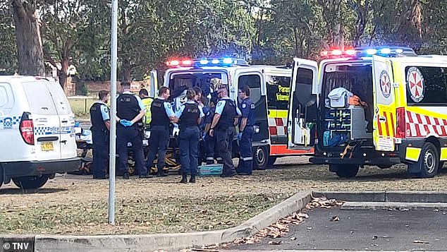 Staf di Hotel Pullman di Penrith, sebelah barat Sydney, menemukan sesuatu yang menyedihkan pada Minggu sore ketika mereka menemukan mayat seorang wanita, berlumuran darah. Adegan itu digambarkan