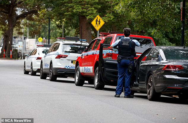 Polisi NSW mengatakan replika senjata itu ditembakkan ke tanah beberapa kali. Adegan itu digambarkan