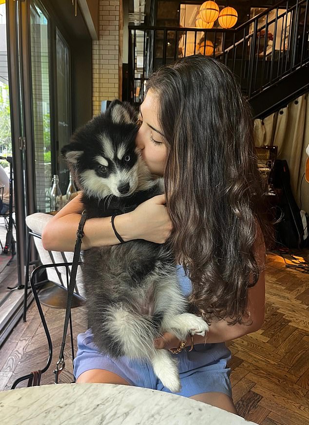 Mariana, 32, dengan Pomsky-nya Dia sedang berjalan-jalan dengan anjingnya bersama seorang temannya di luar apartemen eksklusif Thames City ketika pertengkaran terjadi.