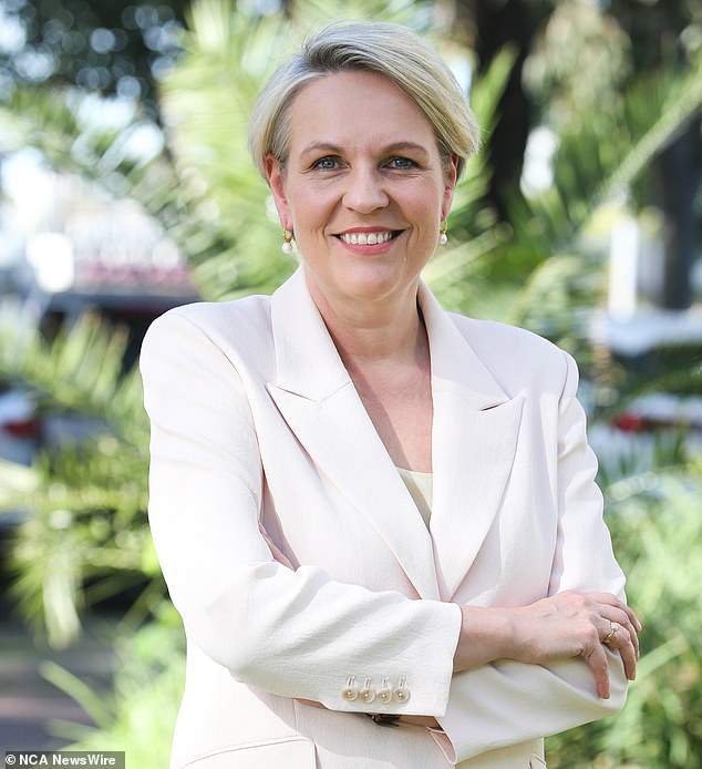 Menteri Lingkungan Hidup Tanya Plibersek (foto) telah dikritik oleh para pemimpin dewan pertanahan karena tidak mendengarkan pandangan mereka mengenai klaim warisan budaya